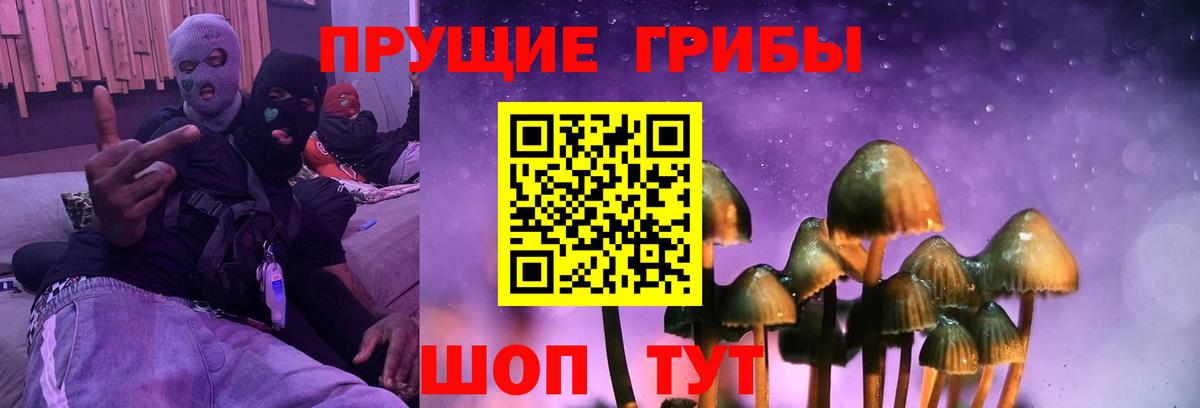 Псилоцибиновые грибы ЛСД  Вход с VPN  цены наркотик  Благодарный 